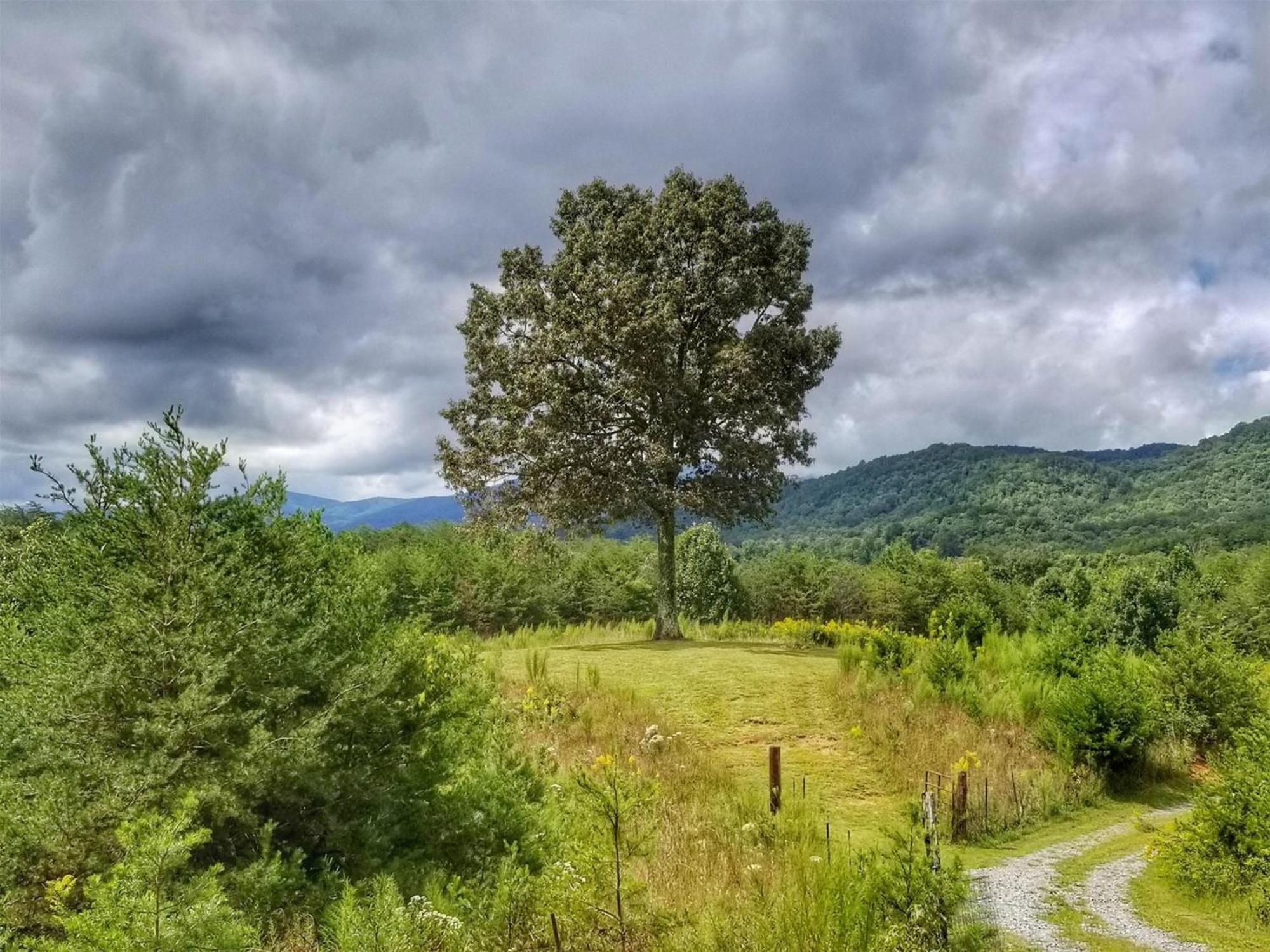 Eula Mae- Ocoee River Area Copperhill 外观 照片